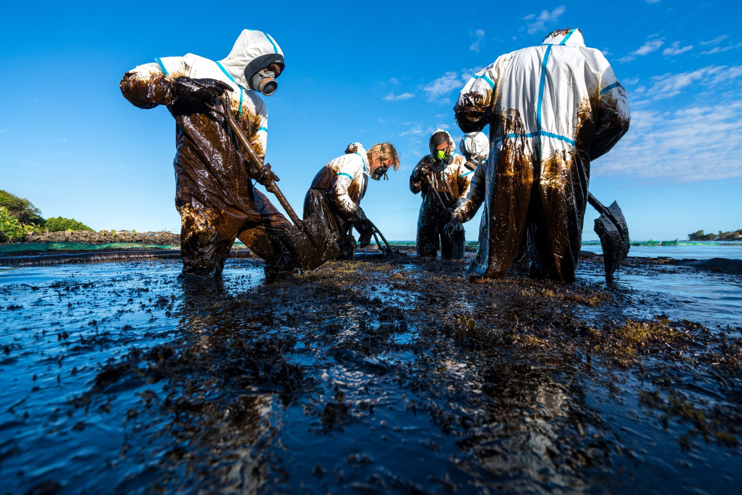 Environmental Impact Assessments